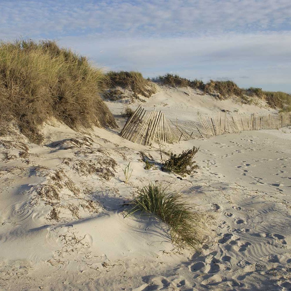 graphics-woodneck_beach-media2-2002-192-dsc_4098 graphics-woodneck_beach-media2-2002-192-dsc_4098